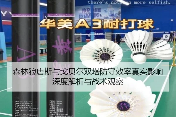 森林狼唐斯与戈贝尔双塔防守效率真实影响深度解析与战术观察